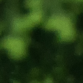 DETAIL-POST NR Nik-20160608_663-Edit