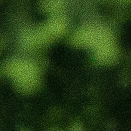 DETAIL-PRE NR Nik-20160608_663