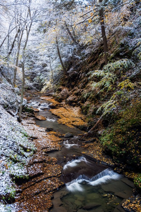 fillmore-glen-fall_89-ig